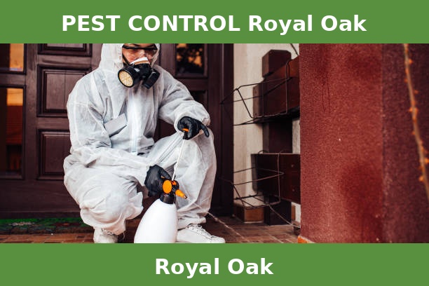 PEST CONTROL Royal Oak